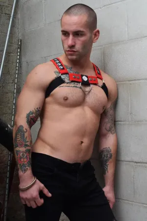 Poundtown Bulldog Harness RED
