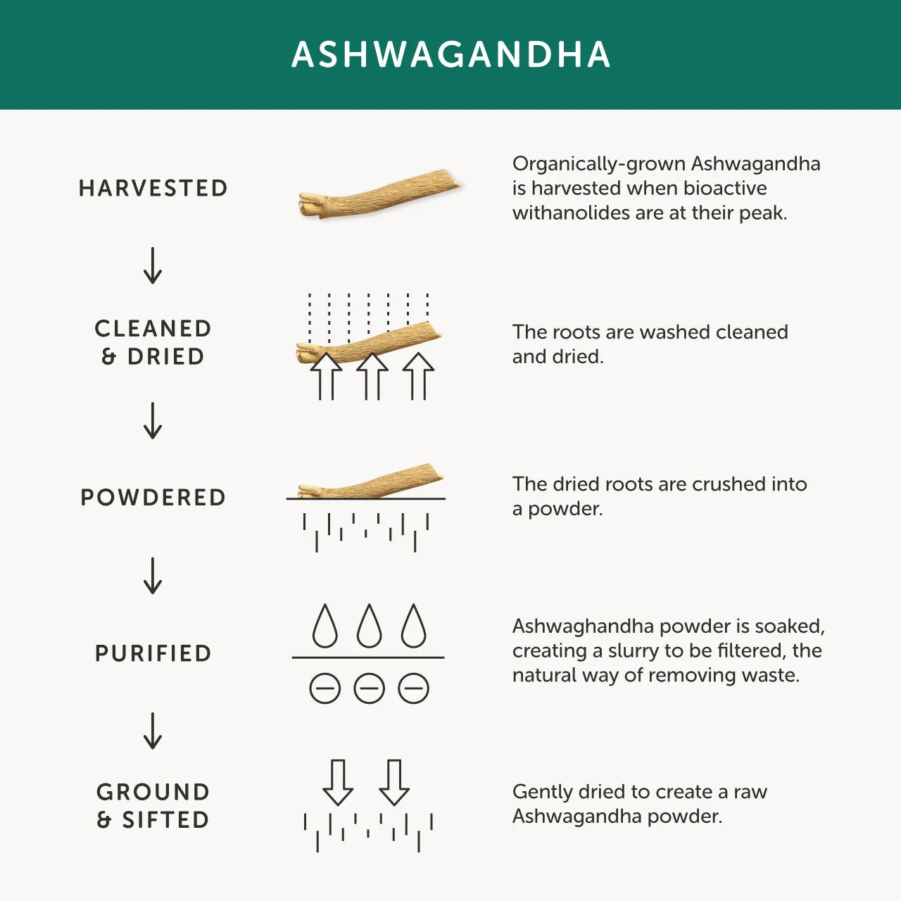 Together Whole Root Ashwagandha 30 caps